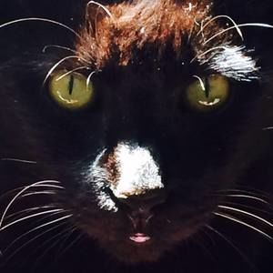 Meet your Posher, Georgeanne